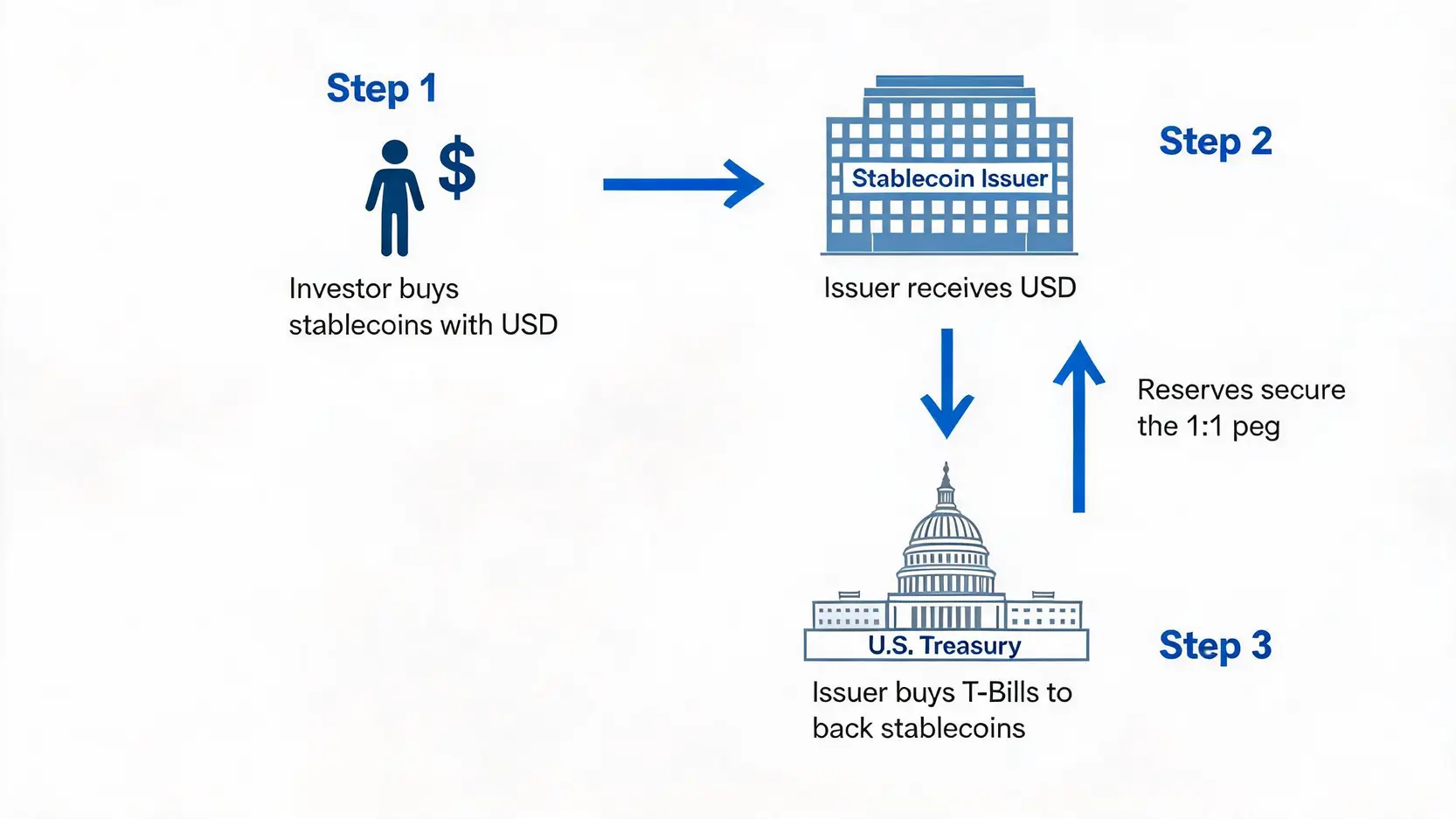 A flowchart showing how stablecoin issuance creates demand for U.S. Treasuries, forming a loop.