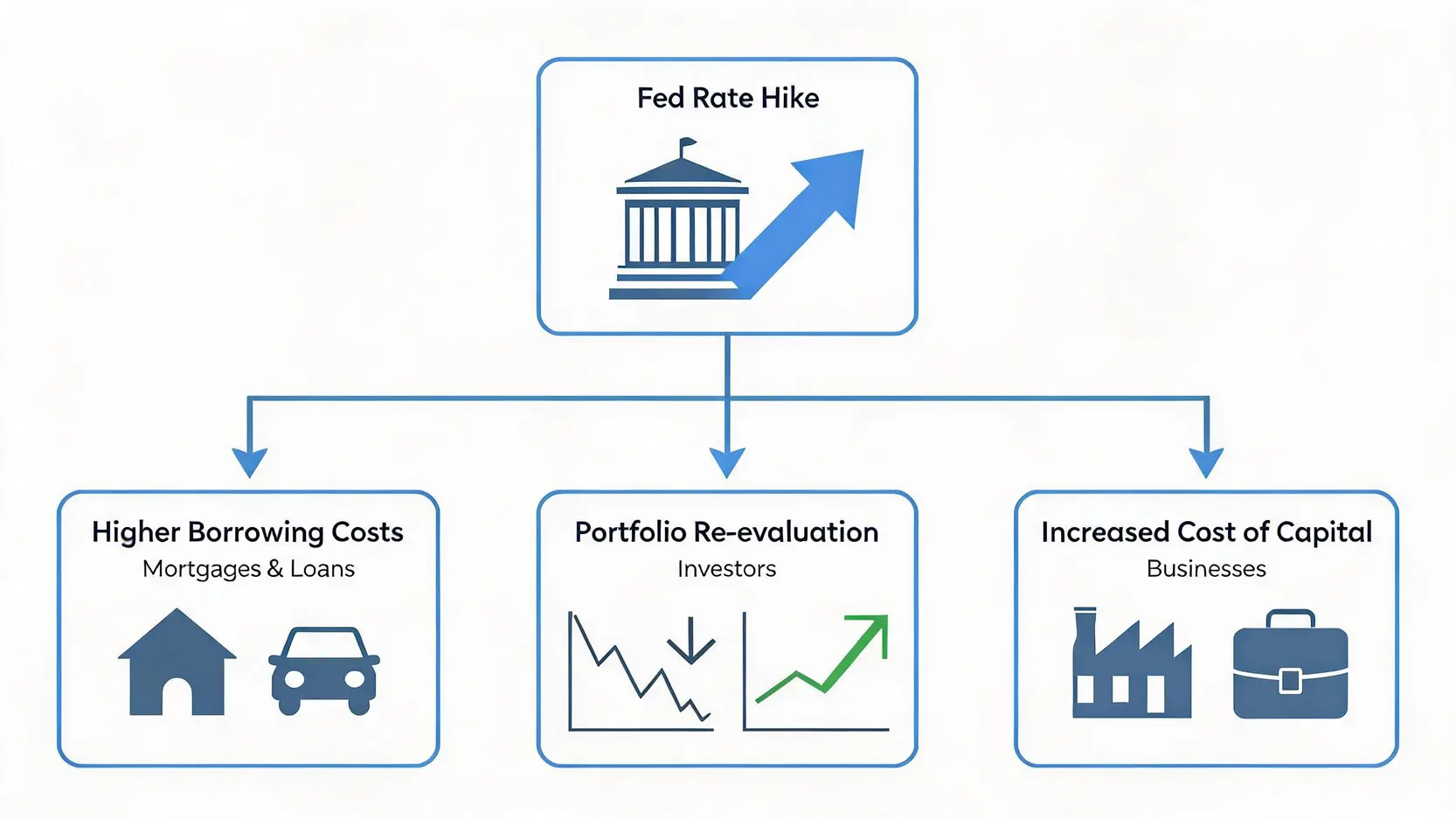 Flowchart showing the real-world impact of a Fed rate hike on borrowers, investors, and businesses.